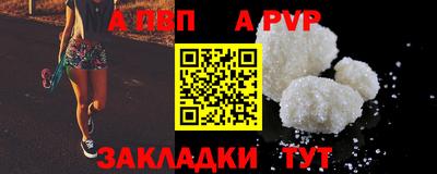 кокс Кингисепп