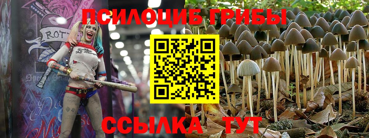 Галлюциногенные грибы прущие грибы  Вход с VPN  Сыктывкар  Галлюциногенные грибы мицелий 